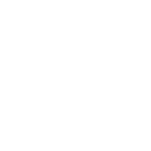 graphic style